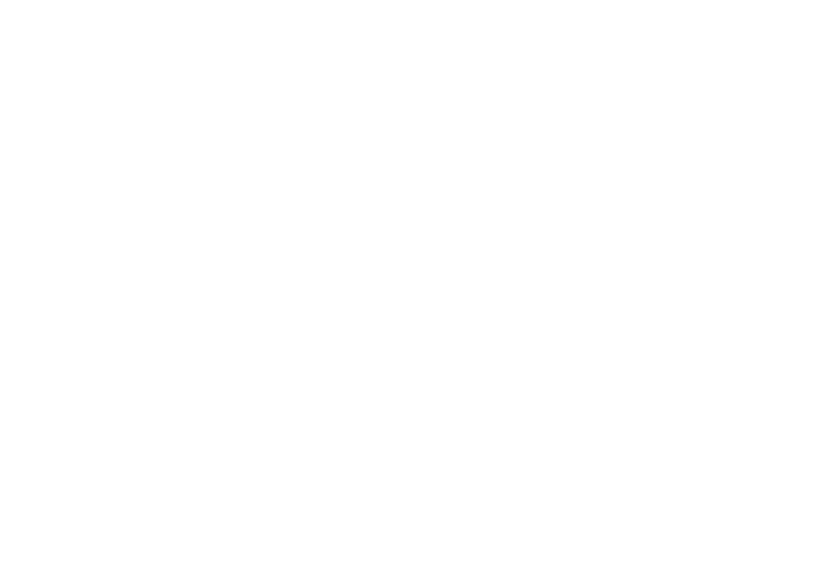 logo-techfest-trang